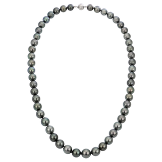 Pearls by Spicer Cole Tahitian Pearl Strand