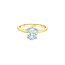 Oval Hidden Halo Lab Grown Diamond Engagement Ring