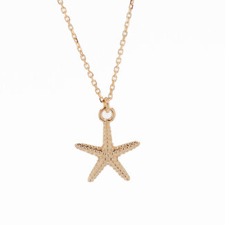 Everyday Gold by Spicer Cole Starfish Necklace