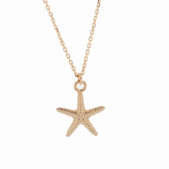 Starfish Necklace