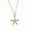 Starfish Necklace