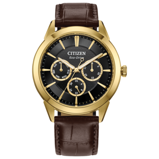 Citizen Watch Company Citizen Rolan