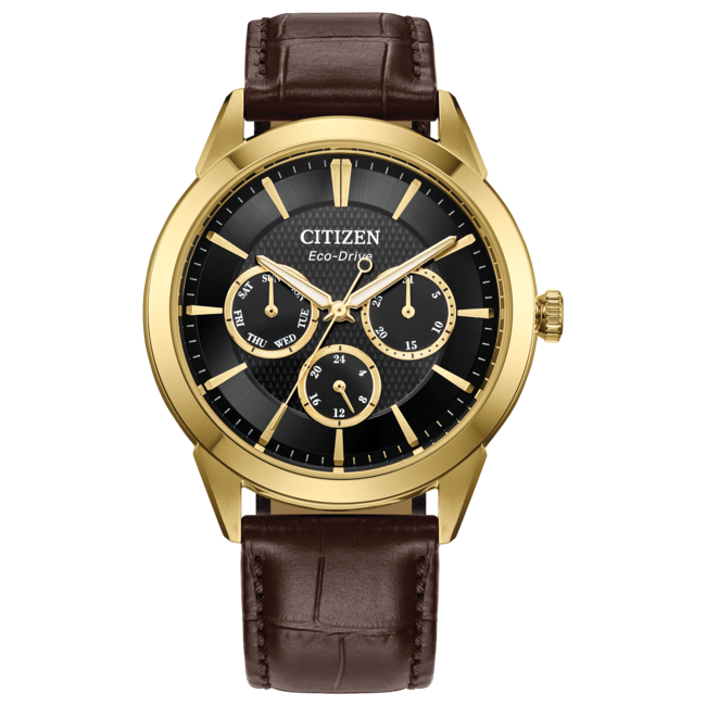 Citizen Rolan