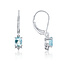 Aquamarine & Diamond Leverback Earrings