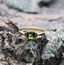 Peridot & Diamond Ring in 10K Yellow Gold