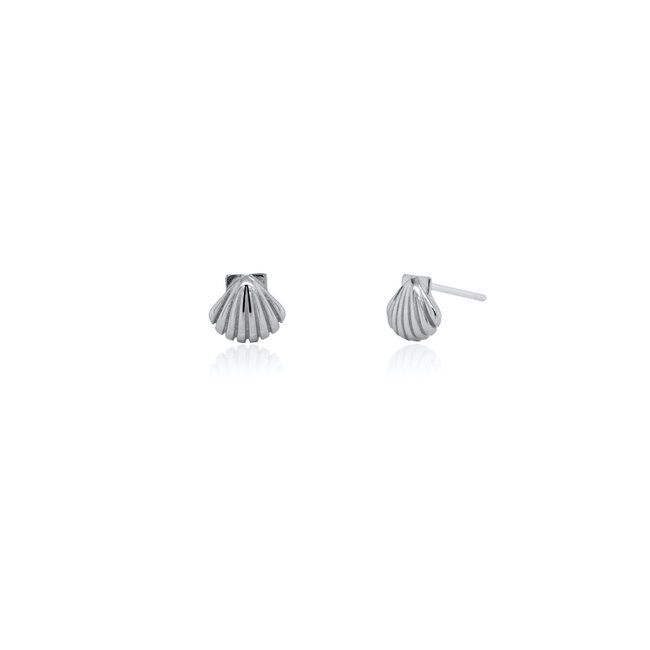 Kids Silver Seashell Studs