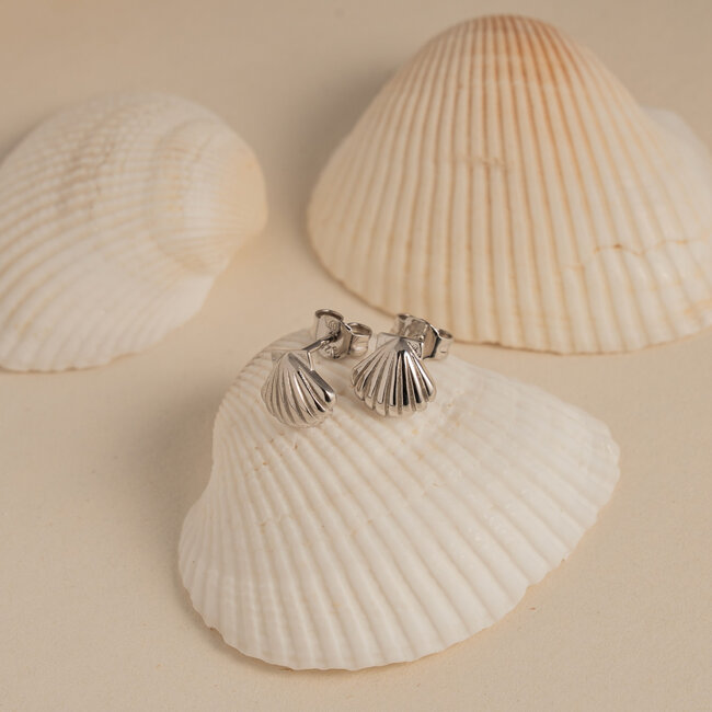 Kids Silver Seashell Studs