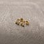 Kids Gold Vermeil Cherry Studs