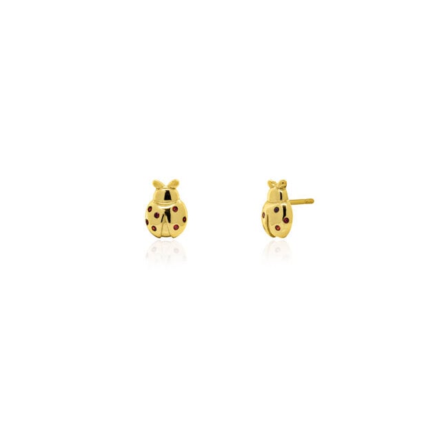 Kids Gold Vermeil Ladybird Studs