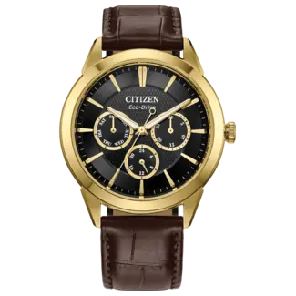 Citizen Watch Company Citizen Rolan Eco-Drive 40mm Watch