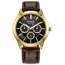Citizen Rolan Eco-Drive 40mm Watch