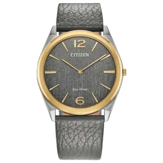 Citizen Watch Company Citizen Suratto Eco-Drive 38.4mm Watch