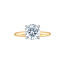 Solitaire Round Lab Grown Diamond Engagement Ring in 14K Yellow & White Gold