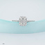 Emerald Cut Lab Grown Diamond Halo Engagement Ring in 14K White Gold