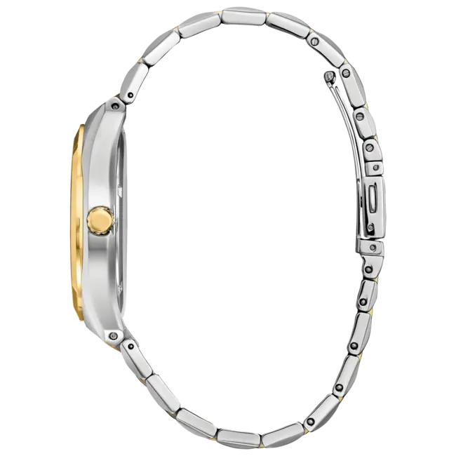 Citizen Corso Eco-Drive 40mm Watch