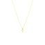 Snake Necklace in 10K Yellow Gold