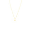 Teardrop Necklace in 10K Yellow Gold