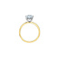 Hidden Halo Oval Lab Grown Diamond Engagement Ring