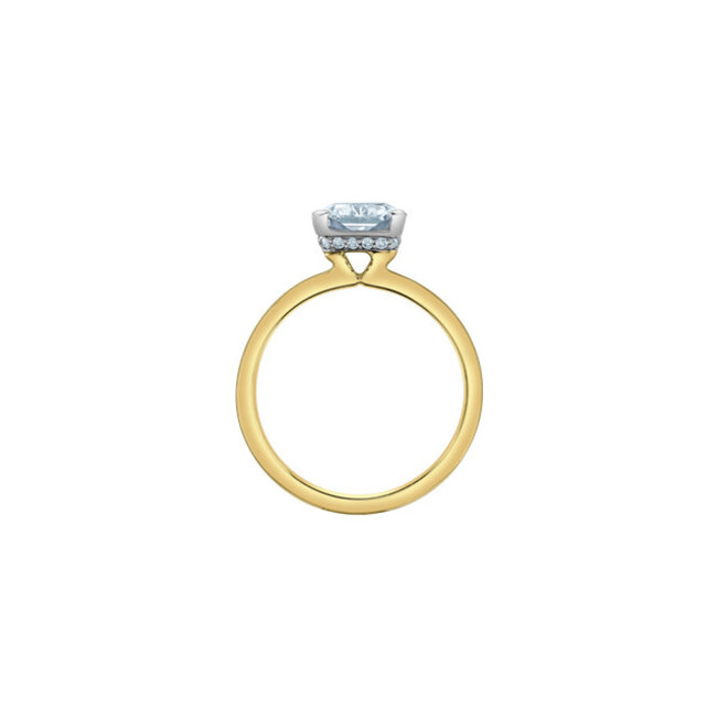 Half-Bezel Radiant Lab Grown Diamond Engagement Ring in 14K Gold