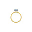 Half-Bezel Radiant Lab Grown Diamond Engagement Ring in 14K Gold