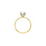Hidden Halo Round Lab Grown Diamond Engagement Ring in 14K Yellow Gold