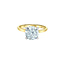 Hidden Halo Round Lab Grown Diamond Engagement Ring in 14K Yellow & White Gold