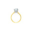 Hidden Halo Round Lab Grown Diamond Engagement Ring in 14K Yellow & White Gold