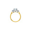 Trinity Emerald Lab Grown Diamond Engagement Ring in 14K Yellow & White Gold
