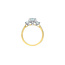 Trinity Emerald Lab Grown Diamond Engagement Ring in 14K Yellow & White Gold