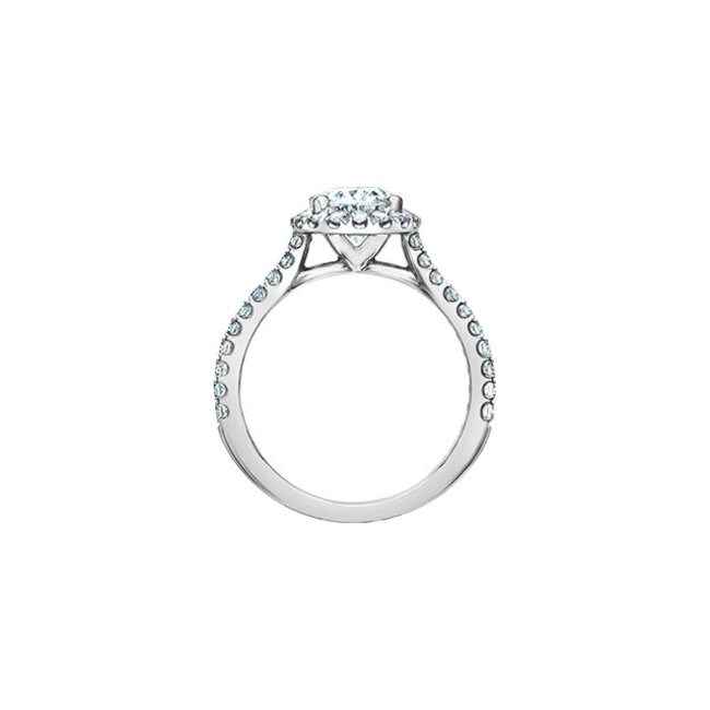 Halo Oval Lab Grown Diamond Engagement Ring in 14K White Gold