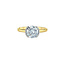Half-Bezel Round Lab Grown Diamond Engagement Ring in 14K Yellow & White Gold