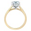 Solitaire Round Lab Grown Diamond Engagement Ring in 14K Yellow & White Gold