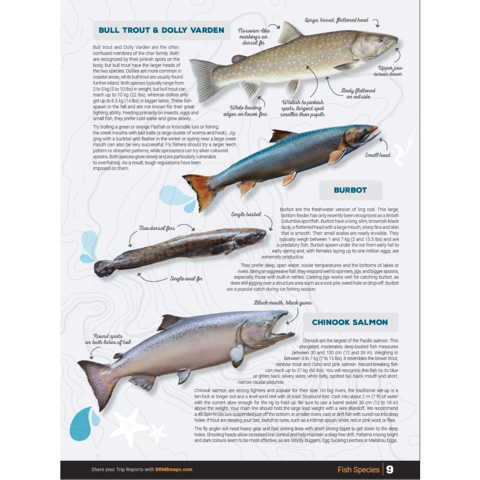 BRMP BRMB Thompson Okanagan BC Fishing Charts 2nd Edition