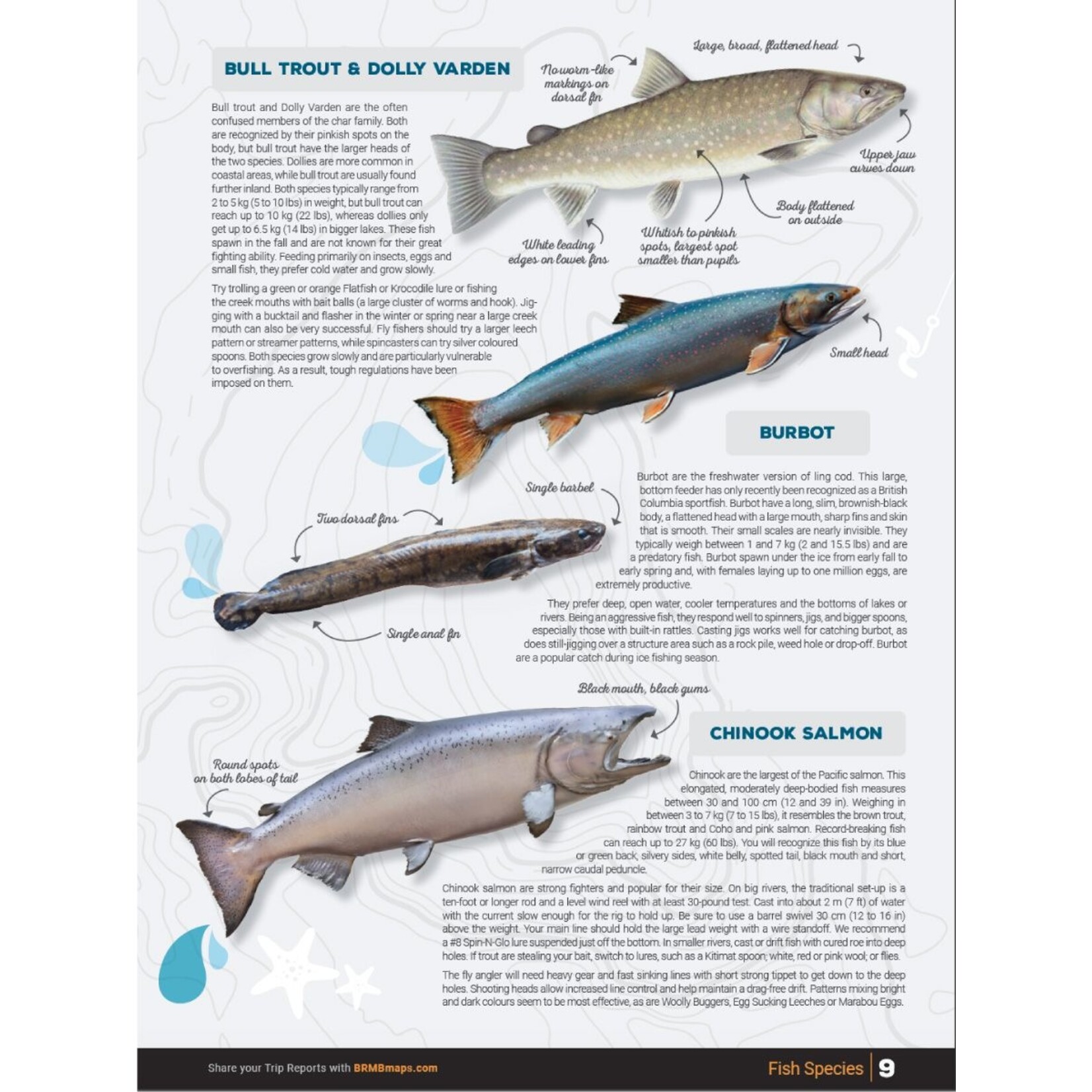 BRMP BRMB Thompson Okanagan BC Fishing Charts