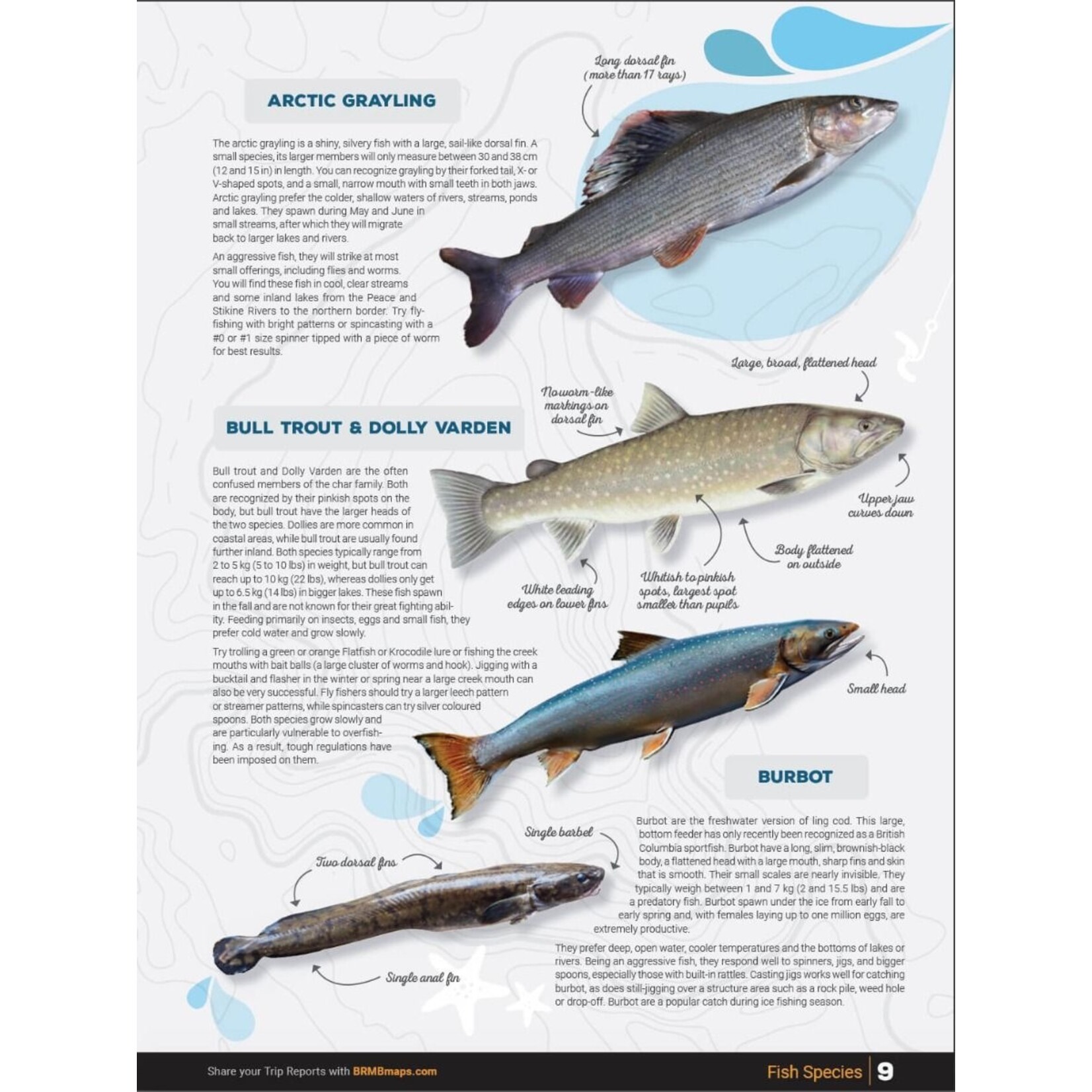 BRMP BRMB Cariboo Region BC Fishing Chart Collection 4th Edition