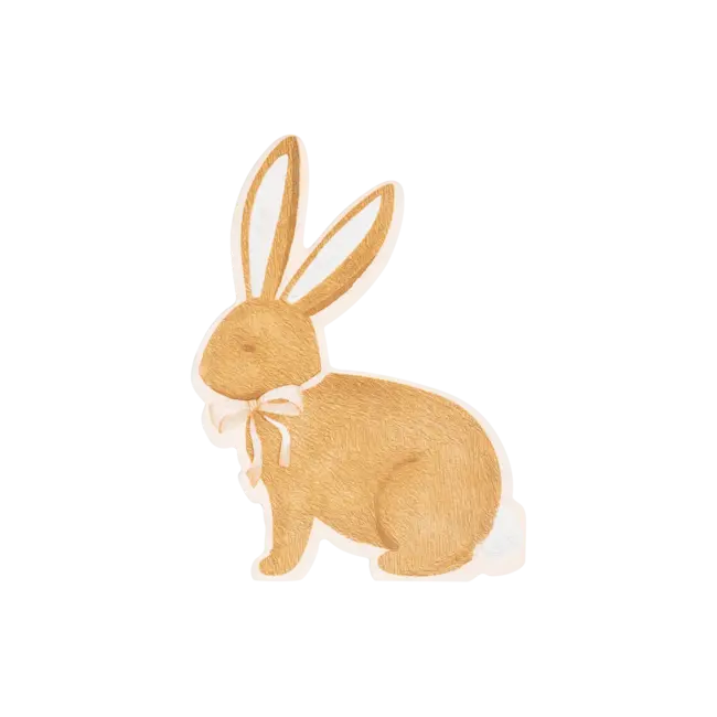 Rabbit Napkin Pack