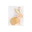 Rabbit Napkin Pack