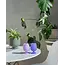 Amethyst Silicone Unbreakable Wine Glasses - Set of 2