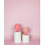 Flamingo Silicone Unbreakable Wine Glasses - Set of 2