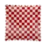 Pink and Red Checkered Plates