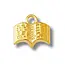 Book Charm