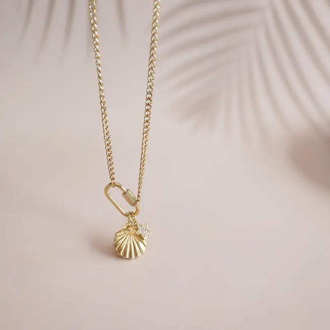 Carabiner Gold Charm Chain