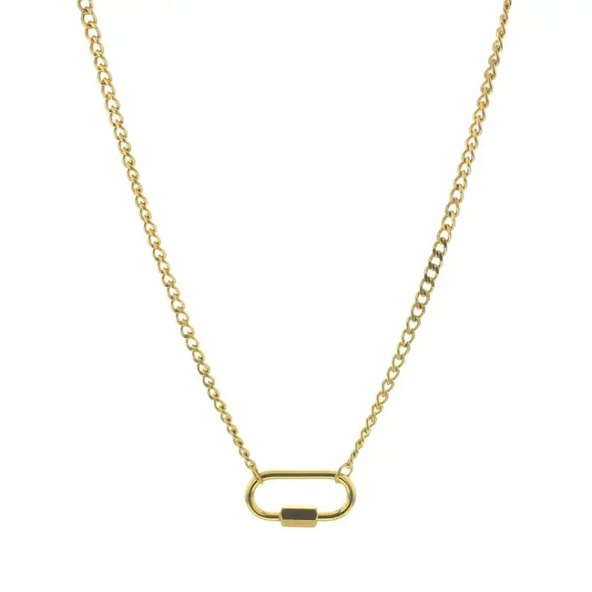 Carabiner Gold Charm Chain