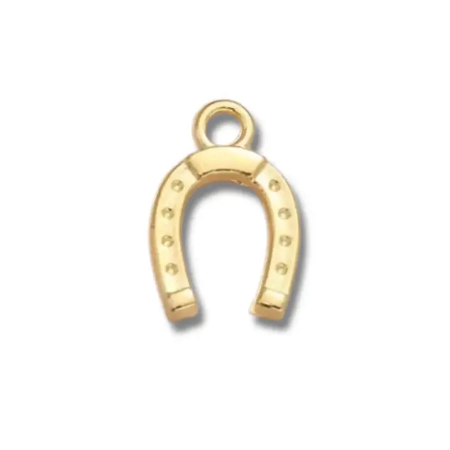 Horseshoe Charm