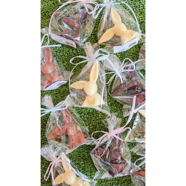 Floppy Ear Chocolate Bunny