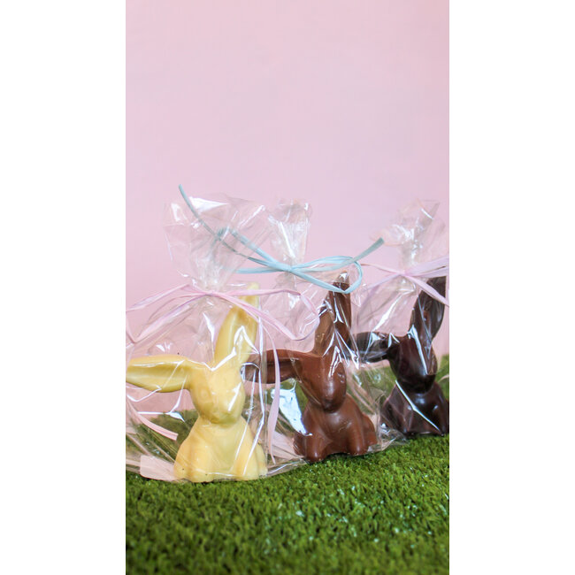 Floppy Ear Chocolate Bunny