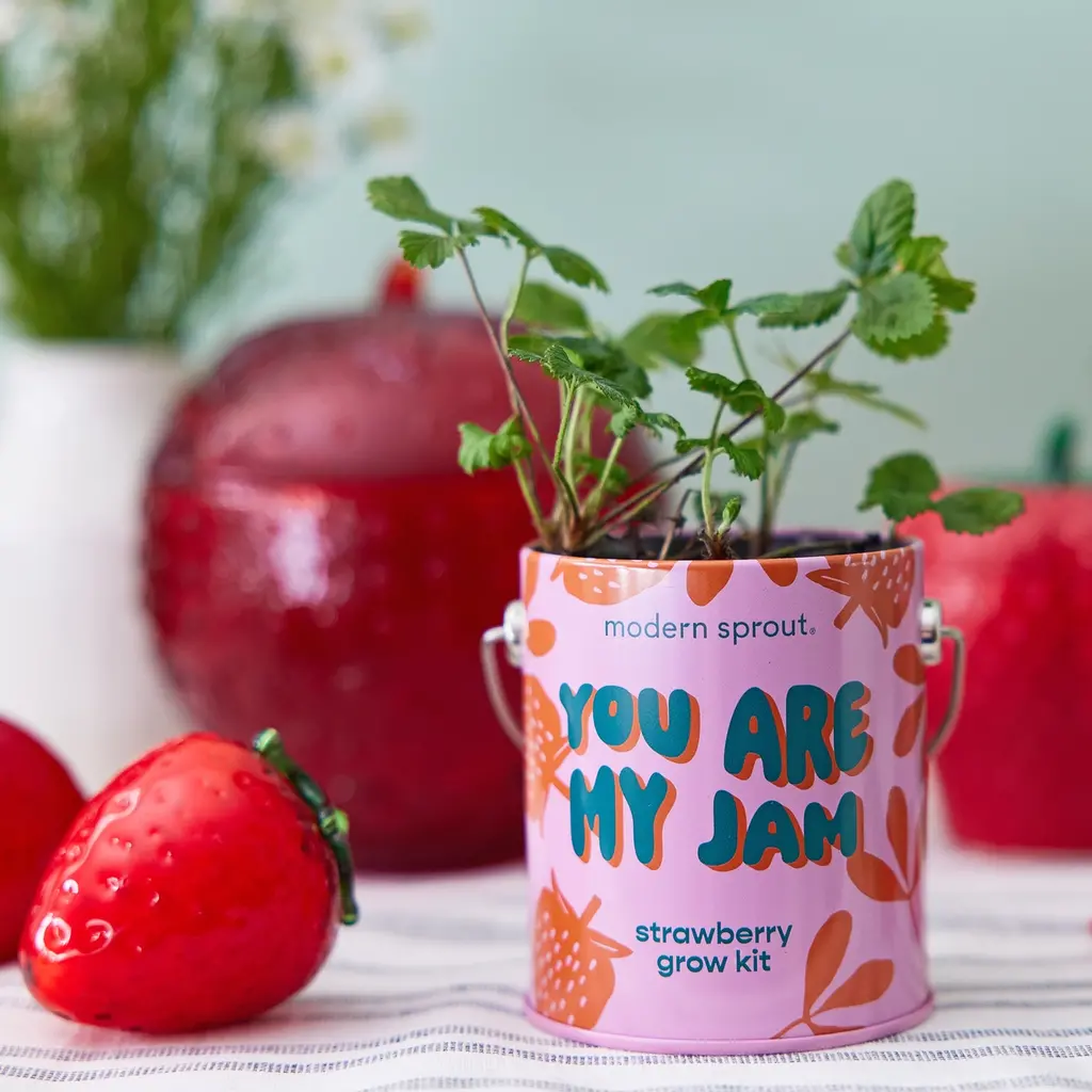 Grow Kits - You are My Jam