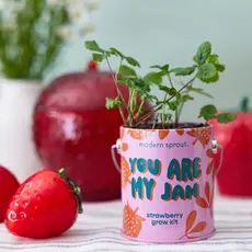 Grow Kits - You are My Jam