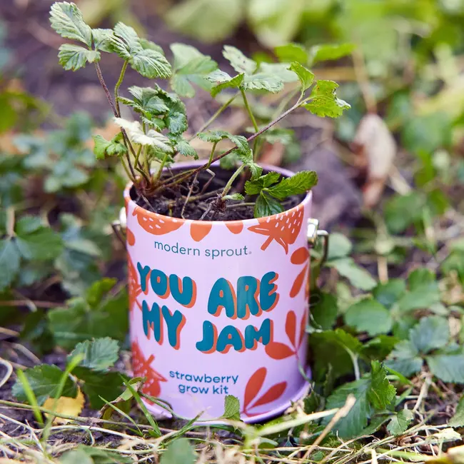 Grow Kits - You are My Jam