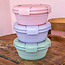 36oz Translucent Bowl Carnation